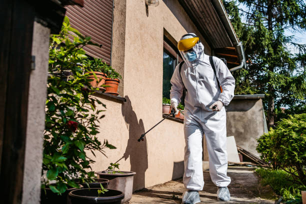 Best Termite Control Services  in Chenoa, IL