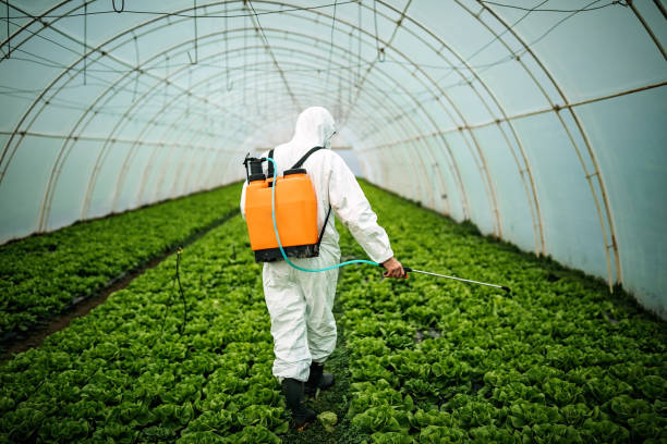 Best Residential Pest Control  in Chenoa, IL