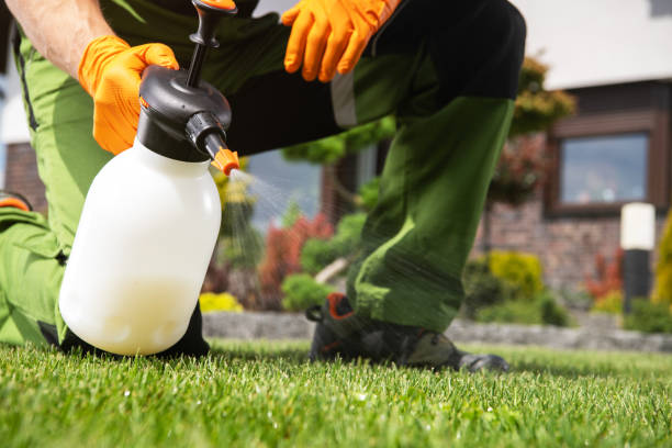 Best Best Pest Control Companies  in Chenoa, IL