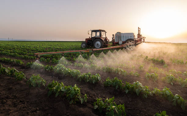 Best Commercial Pest Control Services  in Chenoa, IL