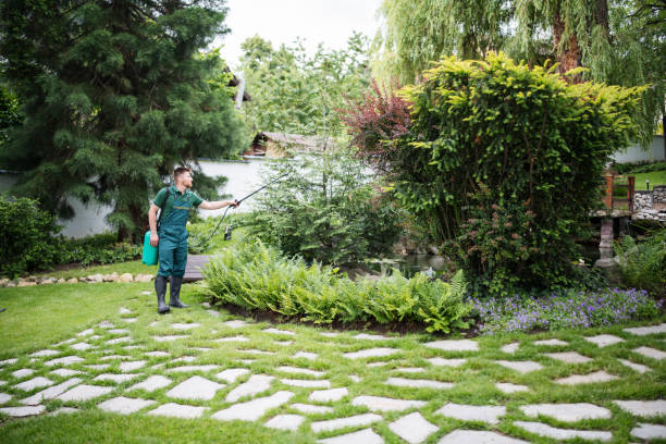 Best Emergency Pest Control  in Chenoa, IL