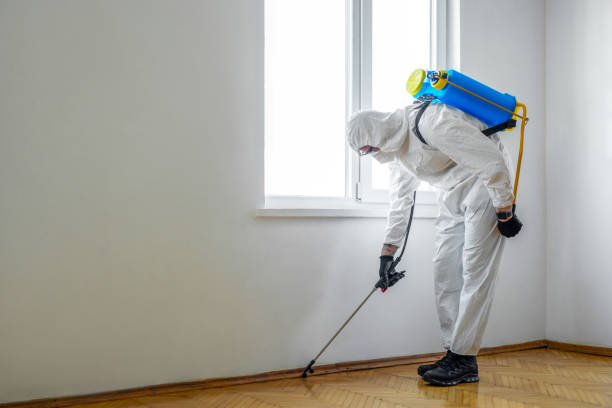 Best Exterminator Services  in Chenoa, IL