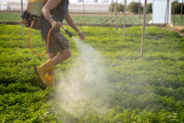 Best Best Pest Control Companies  in Chenoa, IL