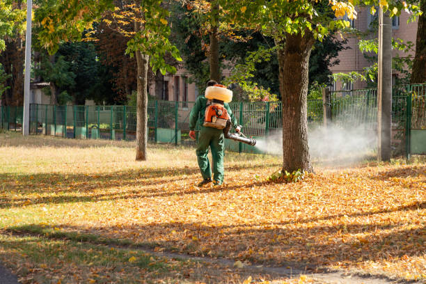 Best Local Pest Control Services  in Chenoa, IL