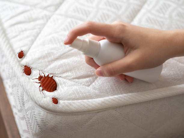 Best Pest Control Treatment  in Chenoa, IL